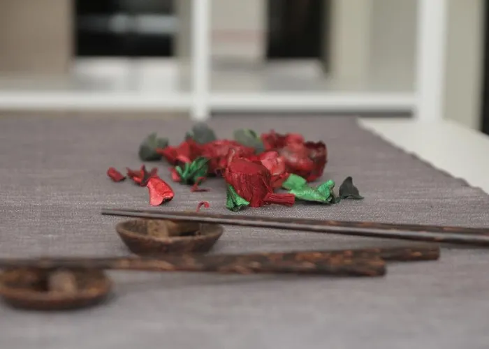 アパート 46 ソフィア